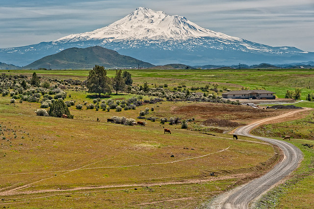 California Camping Guides:
  Shasta Cascade Region