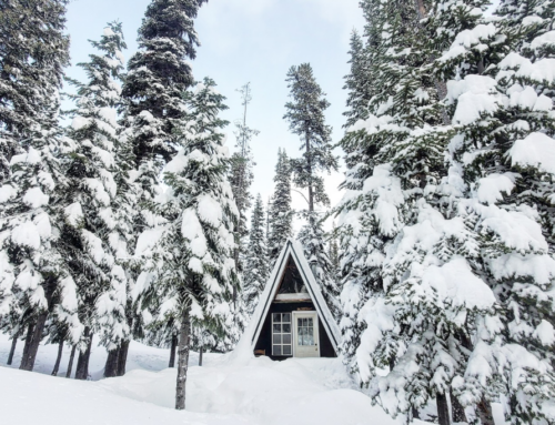 Last-Chance Winter Getaways to Snowy Escapes or Warm Retreats